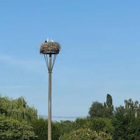Apartment Storchennest Mit Kamin Und Sauna *