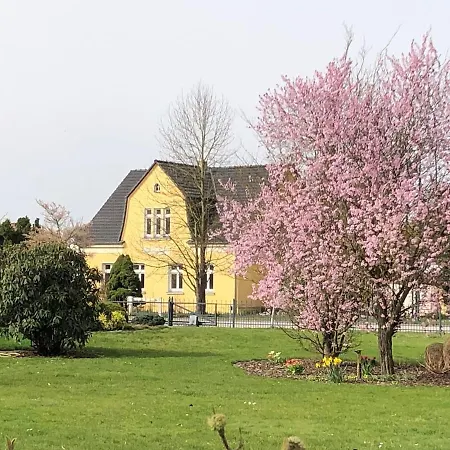 Storchennest Mit Kamin Und Sauna Apartment