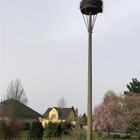 Storchennest Mit Kamin Und Sauna Putlitz